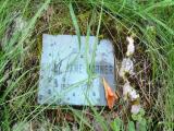 image of grave number 584157